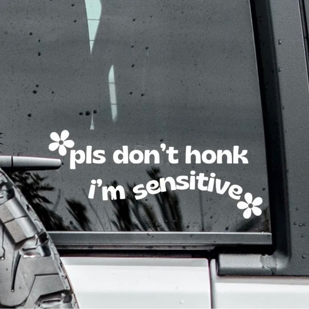 Please Dont Honk Window Vinyl Decal Car Decal